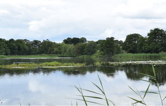 zdjęcie pakiet tygodniowy