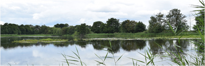 Pakiet tygodniowy w hotelu