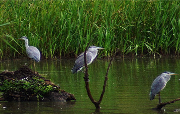 zdjęcie do pakietu weekendowego