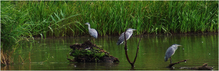 Pakiet weekendowy w hotelu
